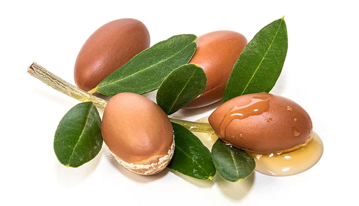 benefits of using argan oil,beauty benefits of argan oil,beauty tips,skin care tips,hair care tips