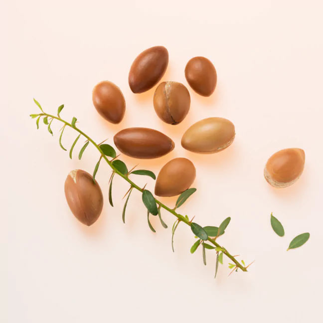 benefits of using argan oil,beauty benefits of argan oil,beauty tips,skin care tips,hair care tips
