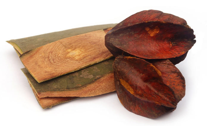 5 Health Benefits of Arjuna Ki Chaal, Herb for The Heart