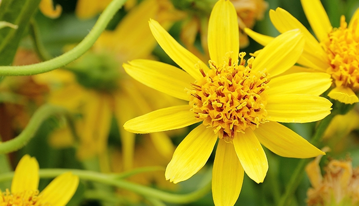 home remedies to treat bruises,remedies to treat bruises,bruises treatment at home,beauty tips,beauty hacks