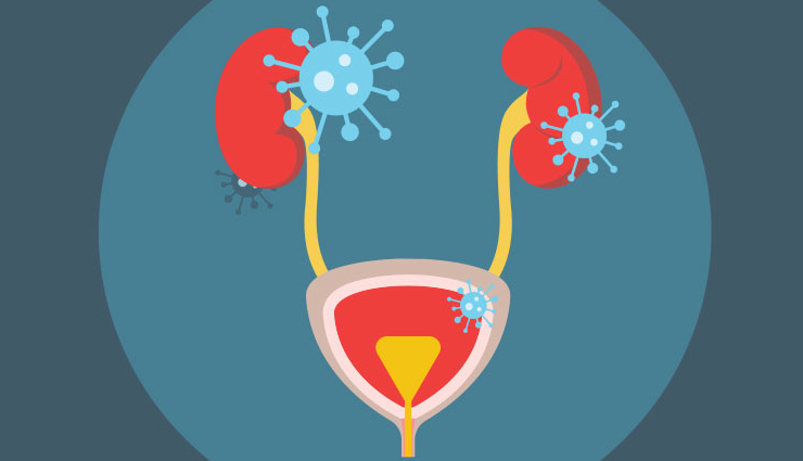 health benefits of arrowroot,arrowroot,Health tips,fitness tips