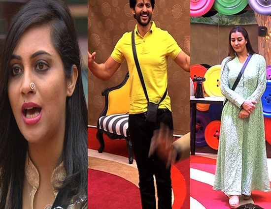 Bigg Boss 11- Hiten Tejwani Tries To Bring Peace Between Arshi and Shilpa