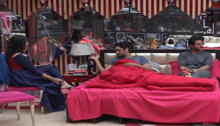 Bigg Boss 11- Arshi Insulted Her Grandfather, Made Vikas and Hiten Bow Down