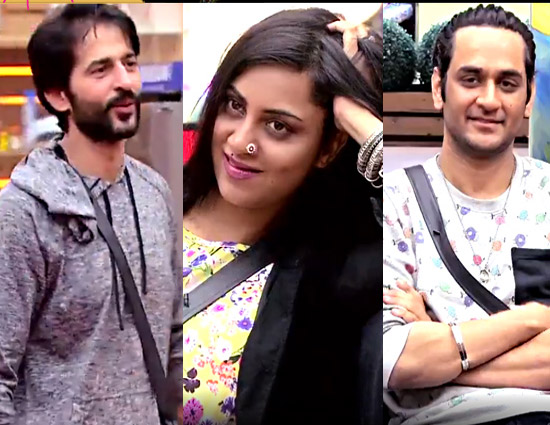 बिग बॉस 11 : हितेन और विकास को लेकर अर्शी ने बोली ये बातें...