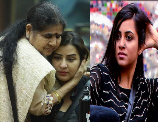 Bigg Boss 11- Arshi Khan Fights Back With Salman Khan