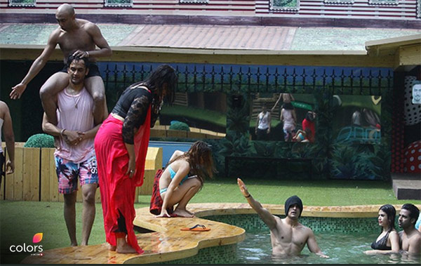 bigg boss 11,Salman Khan,arshi khan,hina khan,priyank,vikas gupta,bigg boss news