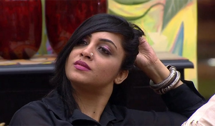 bigg boss 11,Salman Khan,arshi khan,arshi khan scandals,bigg boss news,tv show,reality tv show,entertainment