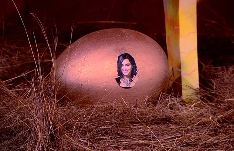 bigg boss 11,Salman Khan,bb poultry farm task,captaincy task,vikas gupta,shilpa shide,akash,hina khan,luv tyagi,priyank,tv show,tv news,bigg boss news