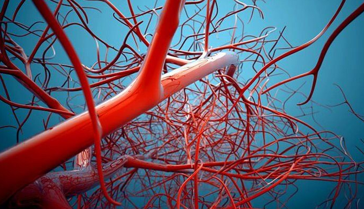 tobacco and cardiovascular diseases,deadly connection between tobacco and cardiovascular health,smoking and heart diseases,tobacco use and cardiovascular risks,effects of smoking on the heart,smoking-related cardiovascular conditions,tobacco addiction and heart health,link between tobacco and heart diseases,smoking cessation for cardiovascular wellness,preventing heart diseases caused by tobacco