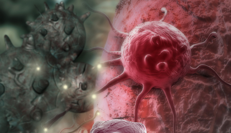 artichokes,health benefits of artichokes,Health tips,fitness tips