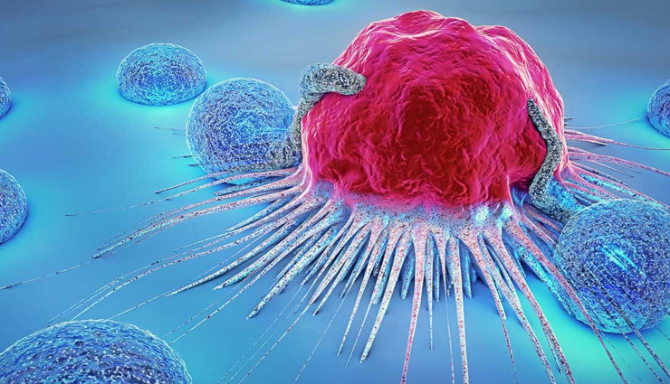 arugula,health benefits of arugula,Health tips,fitness tips