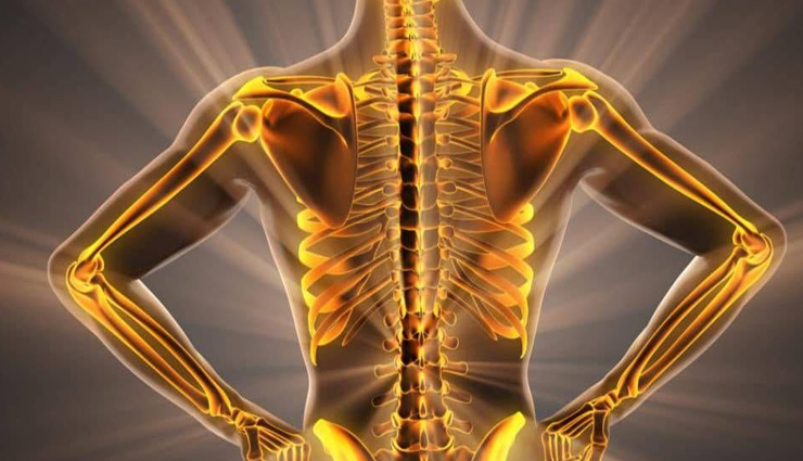 arugula,health benefits of arugula,Health tips,fitness tips