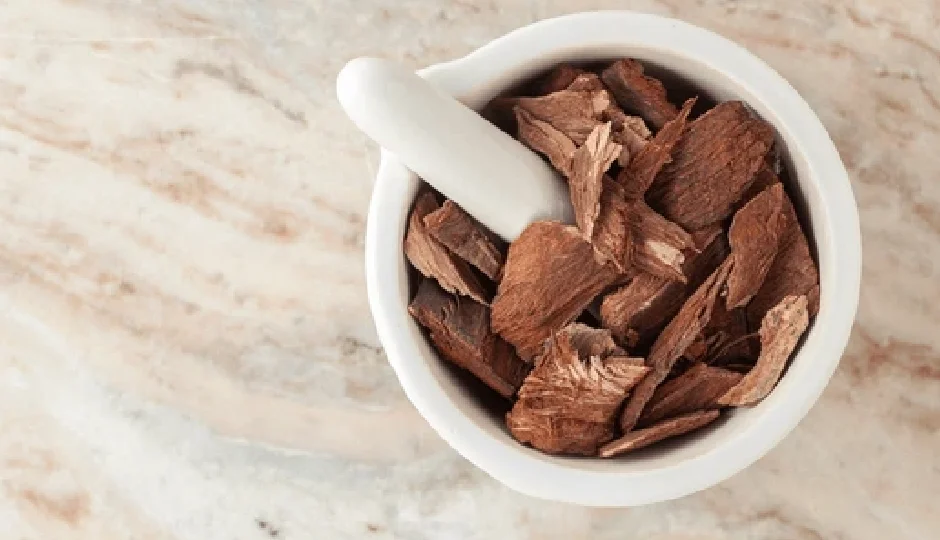 अर्जुन की छाल किन-किन बीमारियों में पहुंचा सकती है लाभ? जानिए इसके औषधीय गुण अर्जुन की छाल किन-किन बीमारियों में पहुंचा सकती है लाभ? जानिए इसके औषधीय गुण