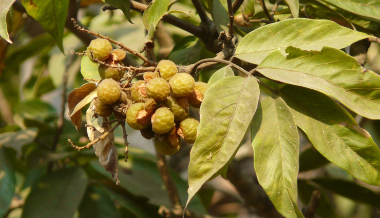 hair growth,hair growth tips,hair care tips,hare care,hair,hair problem,hair growth tips,beauty hacks,beauty tips