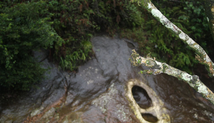 ashok vatika of ravana,sita ji,lord ram,ravana,holidays,travel,tourism