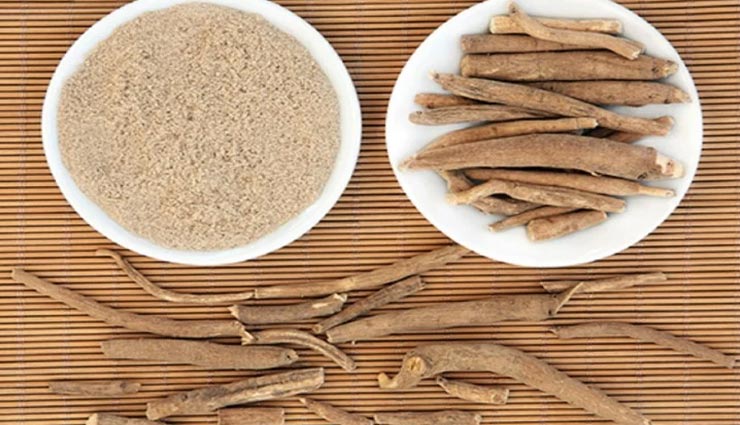 क्या अश्वगंधा औषधि से हो सकता हैं कोरोना मरीज का इलाज? Health tips,health tips in hindi,health research,covid 19,ashwagandha,corona research,coronavirus,iit delhi