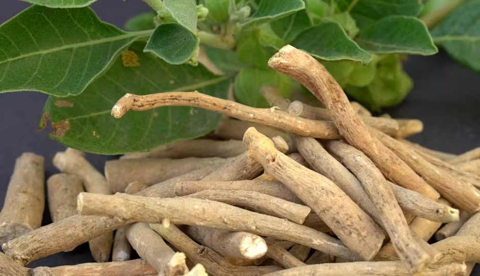 16 Benefits of Ashwagandha for Skin and Hair