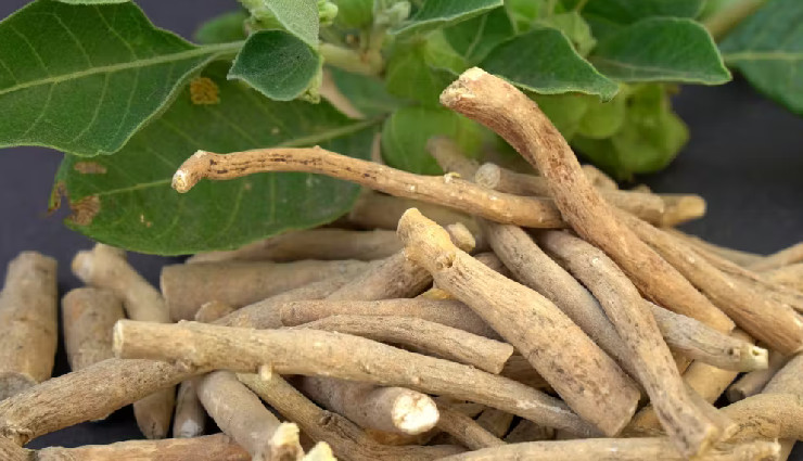 11 Least Known Health Benefits of Ashwagandha