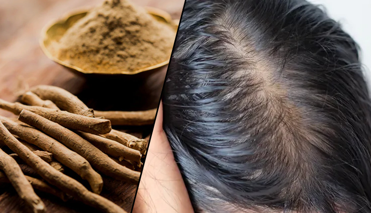 5 Ways How Ashwagandha Can Help You in Hair Re-Growth