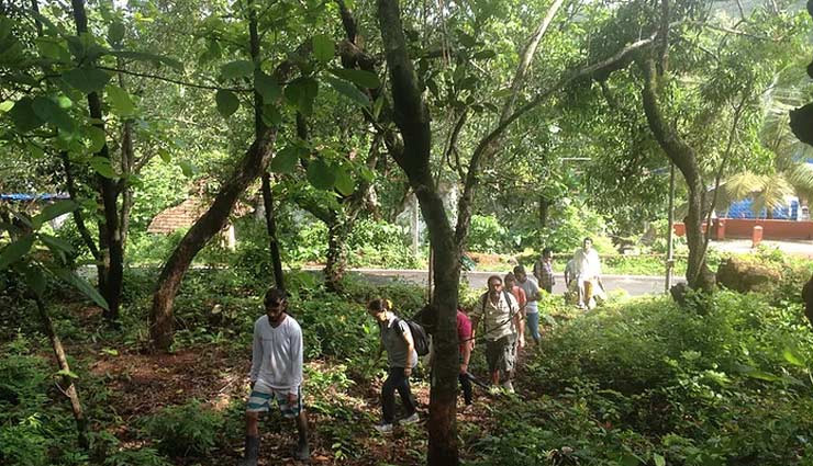 beautiful places in india,peaceful places in india,india tourism,tourist places in india,travel,travel guide