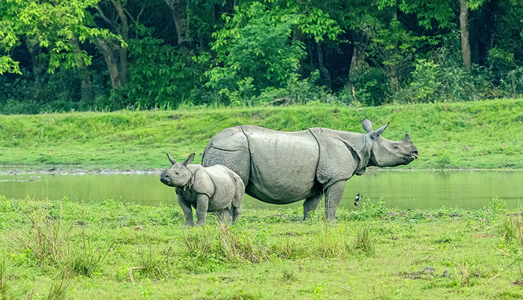 assam,places to visit in assam,tourist attraction in assam,kaziranga national park,manas national park,kamakhya temple,hajo,sualkuchi,dispur