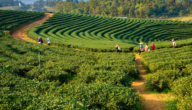 north-east india,north-east india tourism,arunachal pradesh,assam,sikkim,meghalaya,nagaland,manipur,tripura,tourism,travel,travel tips