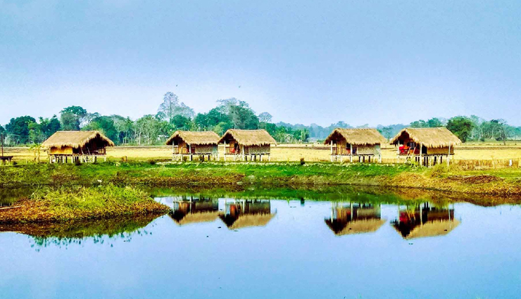 dolphins,spotting dolphins,spotting dolphins in india,tourist places in india,india tourism,travel,holidays