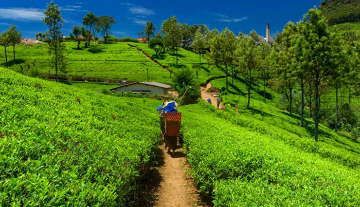 6 Places You Cannot Miss Visiting in Assam