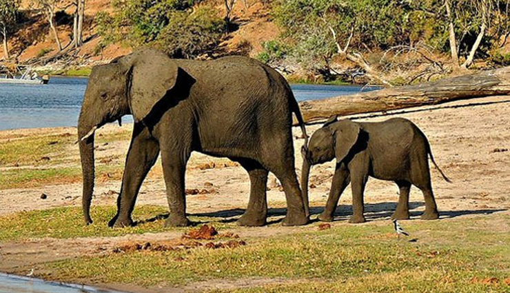 assam,places to visit in assam,tourist attraction in assam,kaziranga national park,manas national park,kamakhya temple,hajo,sualkuchi,dispur