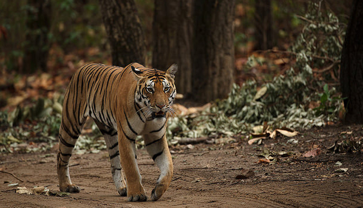 assam,places to visit in assam,tourist attractions in assam