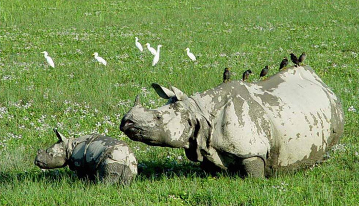 coronavirus,corona travel,tourism,holidays during corona pandemic,travel,holidays