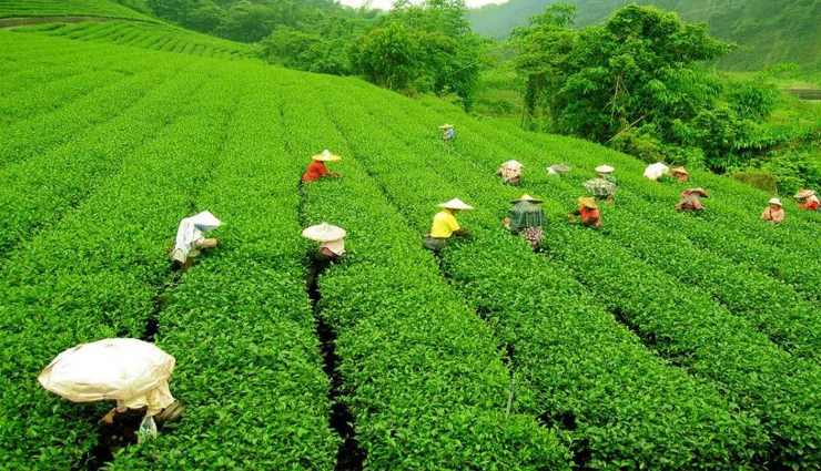 6 Amazing Places To Explore in Assam