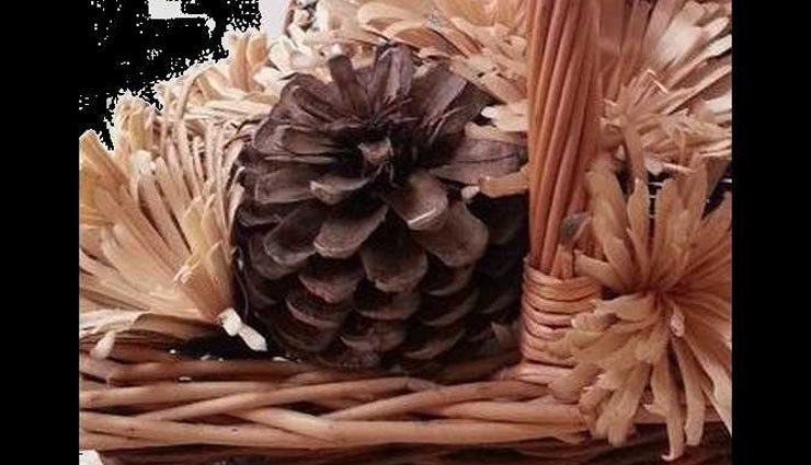 वर्षों तक इस फूल को रखेंगें घर में तो बदल जायेंगा आपका भाग्य