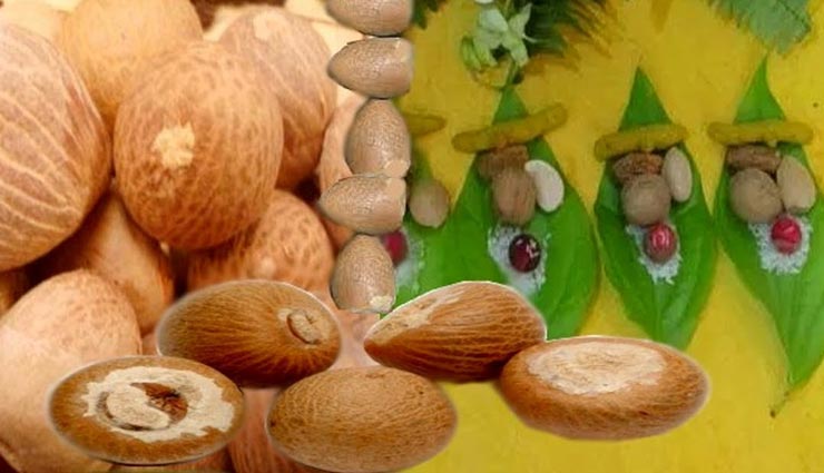 astrology tips,astrology tips in hindi,astrology measures,happiness of house,betel nut remedies