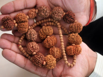 astrology tips,astrology tips for wearing rudraksh,rudraksh,jeevan mantra