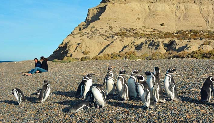 perito moreno glacier,ushuaia,tierra del fuego,nibepo aike estancia,penguins in punta tombo,bariloche and the seven lakes,attractions in patagonia,patagonia