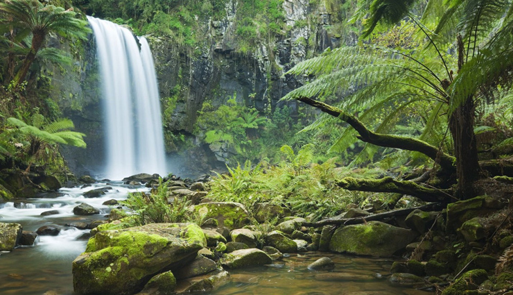 The Great Barrier Reef,the daintree rainforest,wildlife habitat port douglas,cooya beach,four mile beach,port douglas,attractions in port douglas