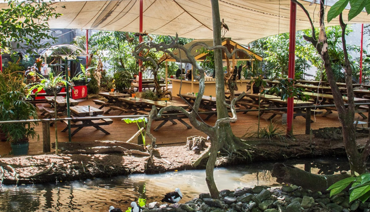 The Great Barrier Reef,the daintree rainforest,wildlife habitat port douglas,cooya beach,four mile beach,port douglas,attractions in port douglas