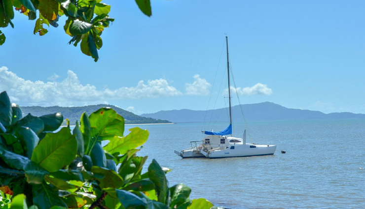 The Great Barrier Reef,the daintree rainforest,wildlife habitat port douglas,cooya beach,four mile beach,port douglas,attractions in port douglas