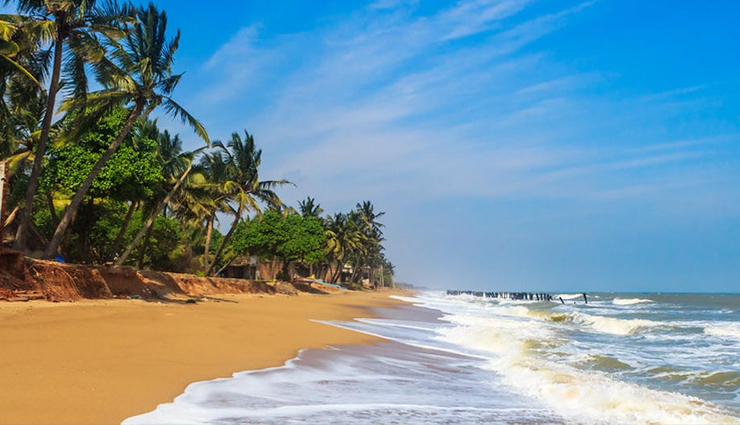 must-visit beaches in south india,top south indian beaches to explore,best coastal destinations in south india,south india must-see beach spots,beach travel in south india,unmissable beaches of south india,exploring the finest beaches in south india,coastal gems to visit in south india,south india beach tourism,popular beaches to see in south india,scenic beach getaways in south india,south india beach travel highlights,beach vacation spots in south india,south india picturesque beach destinations,coastal wonders you must visit in south india,discovering south india stunning beaches,south india top beach experiences,planning your beach trips in south india,ultimate beach destinations in south india