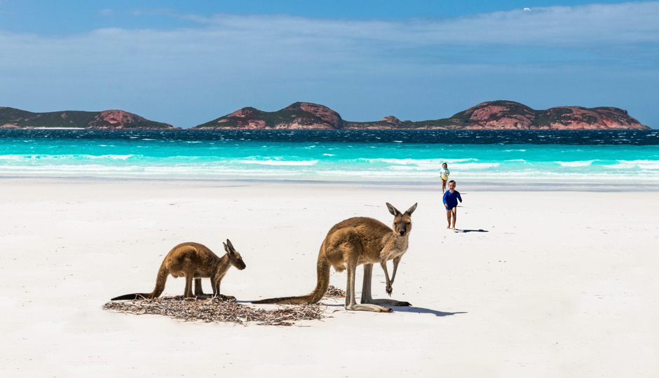 10 Must Visit Reasons for Australia