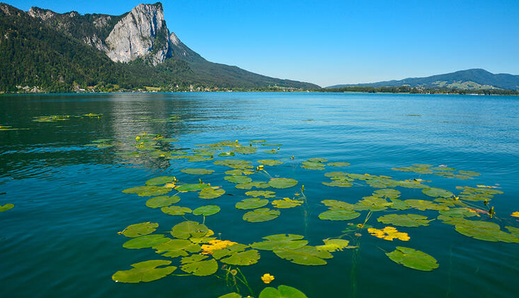 lakes,lakes in austria,austria,mondsee,achensee,lake hallstatt,traunsee,zellersee,plansee
