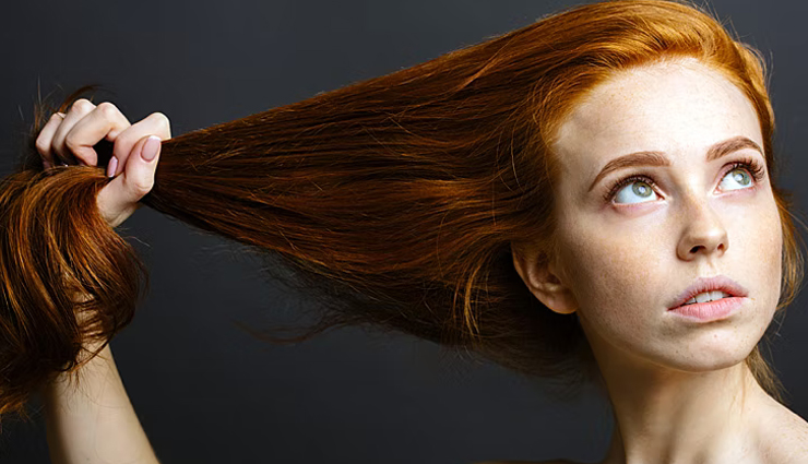 avocado,beauty benefits of avocado,avocado for hair,hair care tips,beauty tips