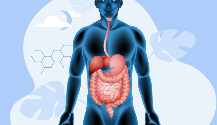 Avocados,health benefits of avocados,Health tips,fitness tips