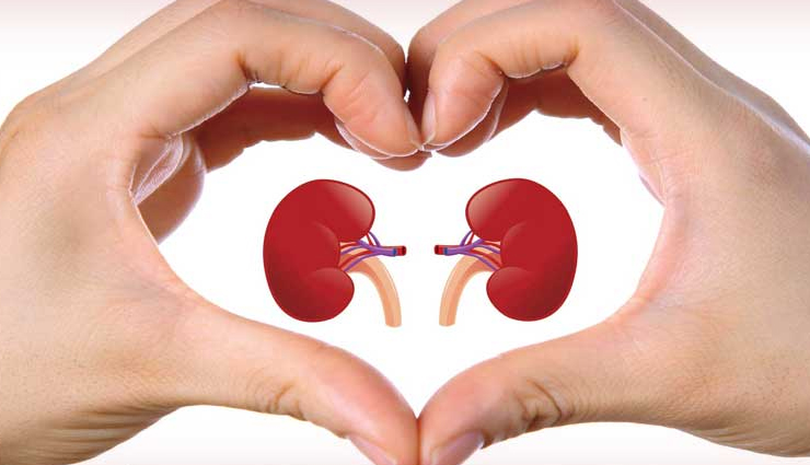 Avocados,health benefits of avocados,Health tips,fitness tips