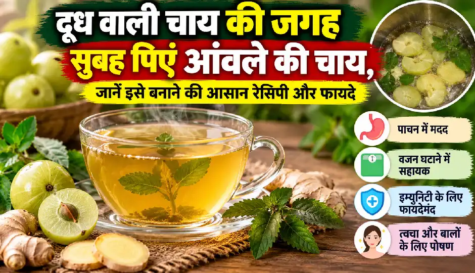 दूध वाली चाय की जगह सुबह पिएं आंवले की चाय, जानें इसे बनाने की आसान रेसिपी और फायदे