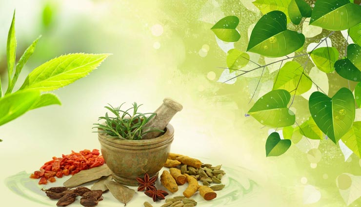 Health tips,health tips in hindi,ayurveda tips,doctor advice,dangerous ayurveda