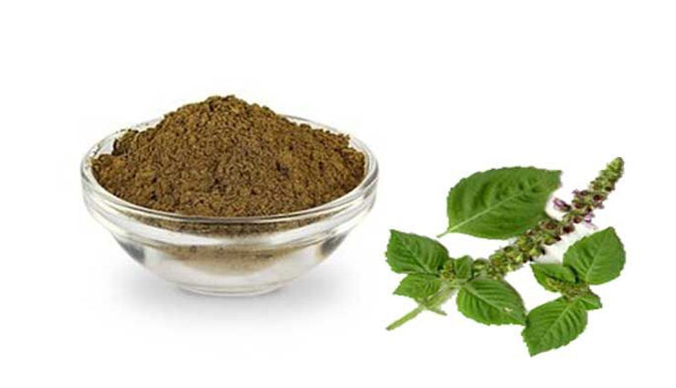 ayurvedic powders,healthy ayurvedic powder,Health tips,fitness tips