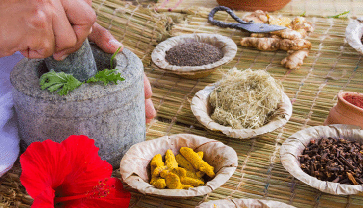 5 Ayurvedic Plants That are Best Suited For Your Skin and Hair