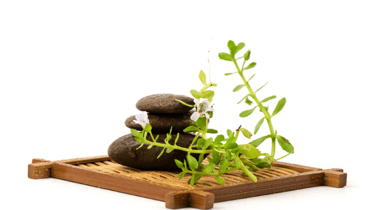 brahmi,health benefits of brahmi,Health tips,fitness tips